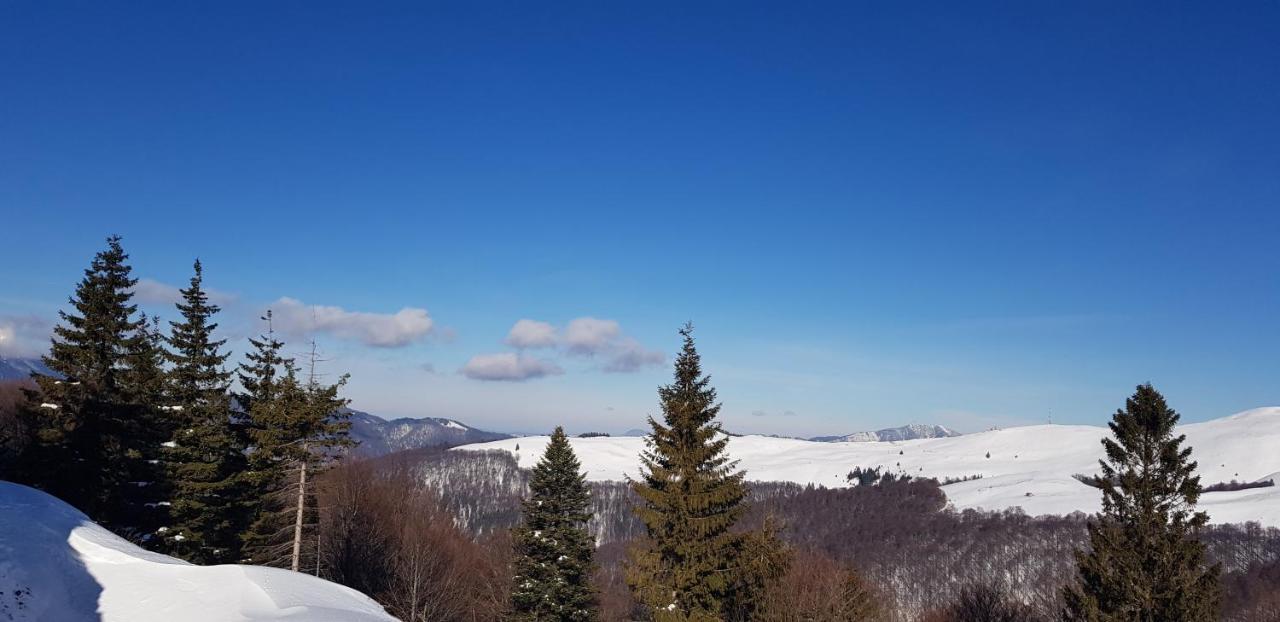 Vila Alunis بوستين المظهر الخارجي الصورة