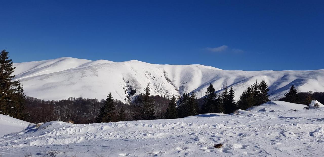 Vila Alunis بوستين المظهر الخارجي الصورة