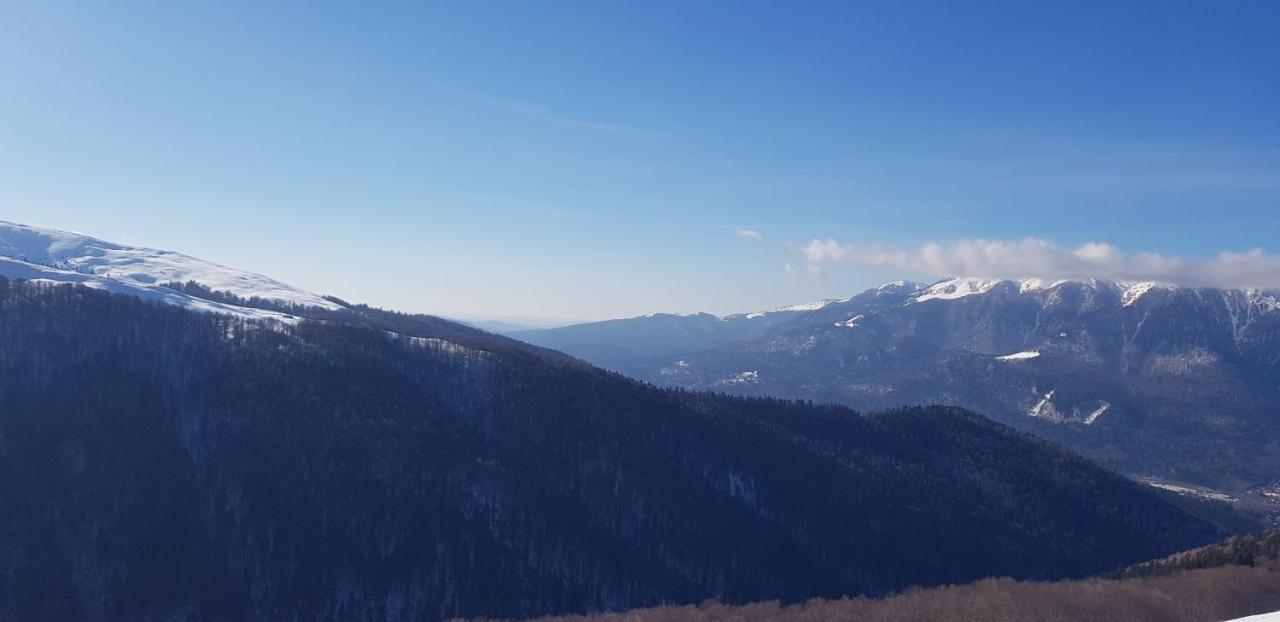 Vila Alunis بوستين المظهر الخارجي الصورة
