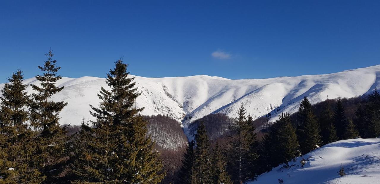 Vila Alunis بوستين المظهر الخارجي الصورة