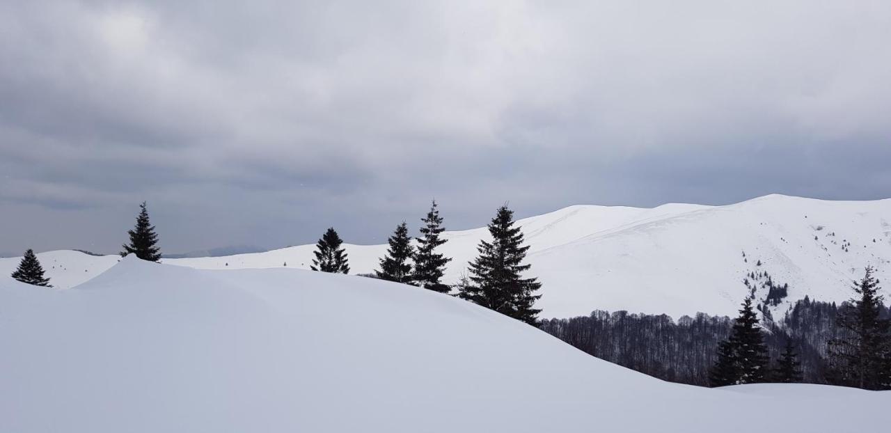 Vila Alunis بوستين المظهر الخارجي الصورة